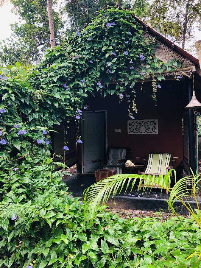 The Cliff Cottage Варкала Экстерьер фото